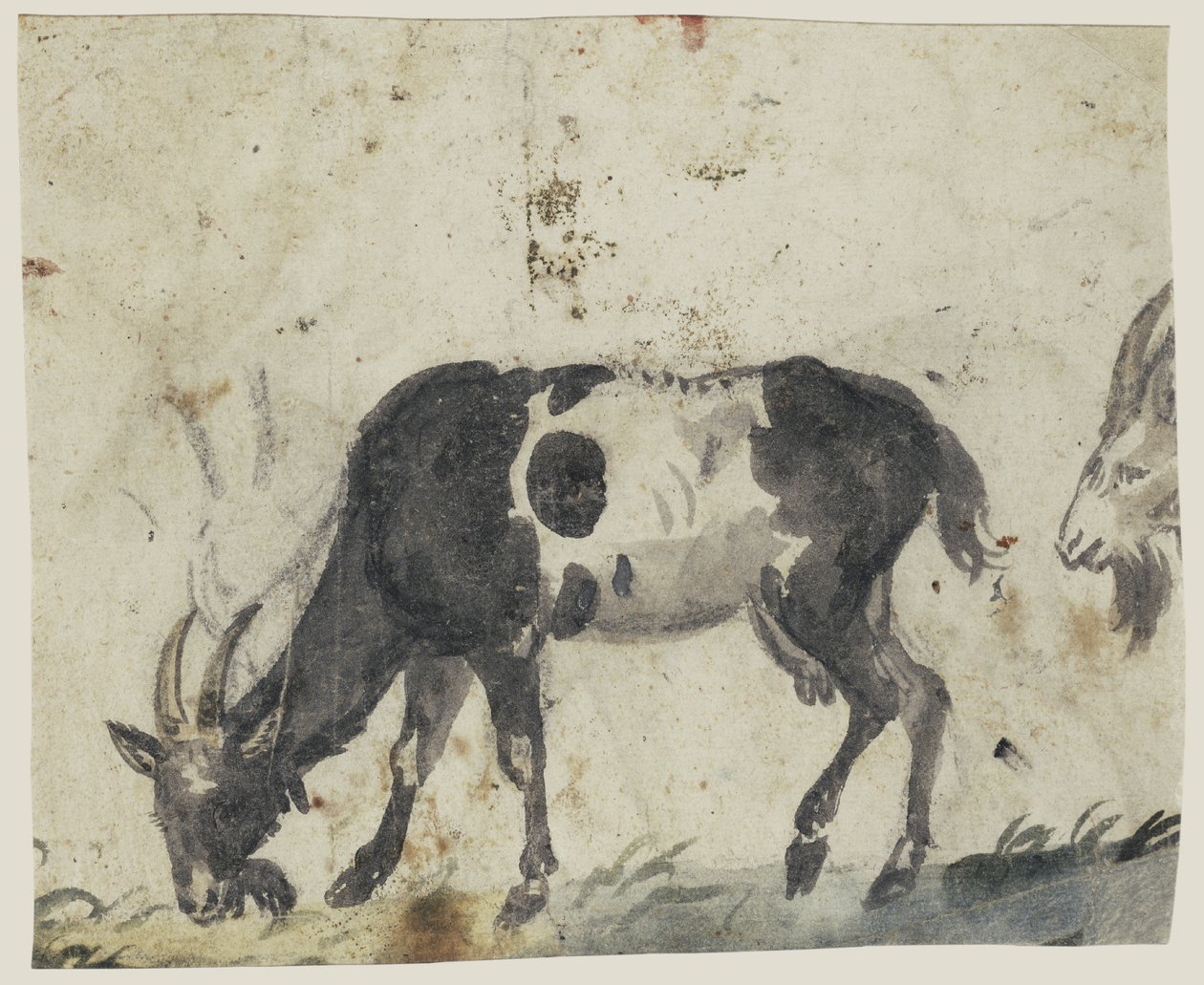 Studer med geder af Lucas Cranach the Elder