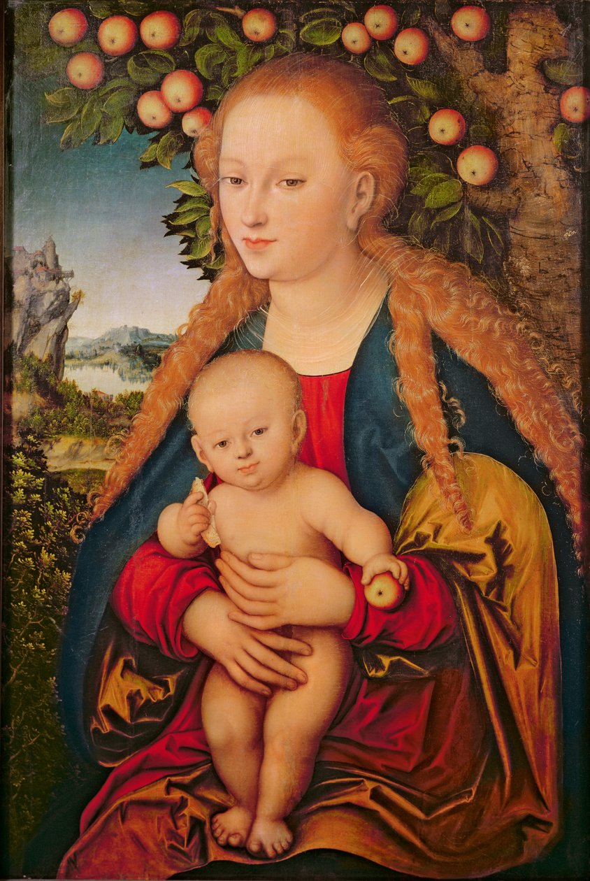 Jomfruen og barnet under et æbletræ, 1520-26 (olie på lærred overført fra p tr om anel)) 99 : Jesus Kristus; baby; skød; æbler; landskab; baggrund; symbolik; Eva; synd; symbolsk; spædbarn; rur af Lucas Cranach the Elder