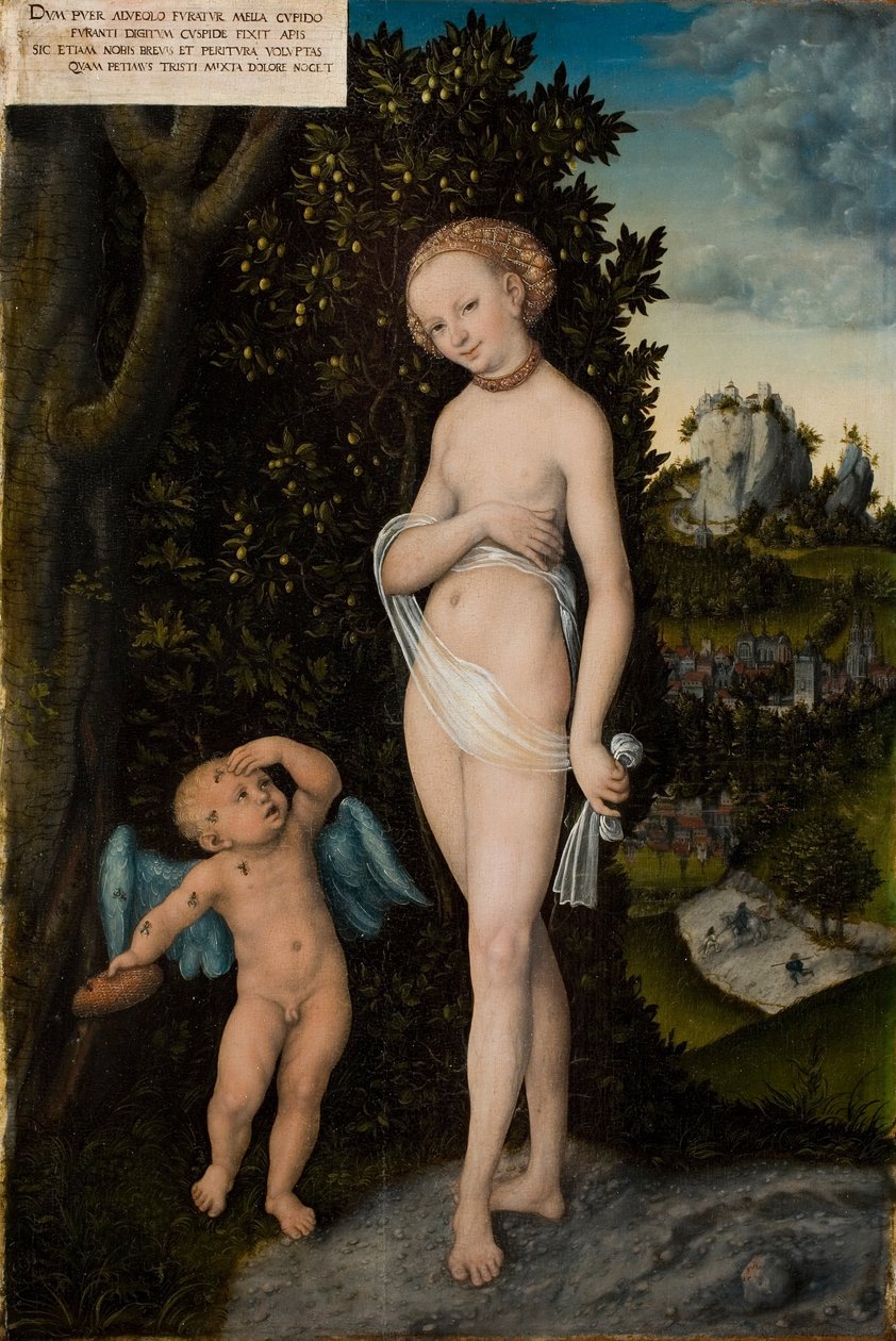 Venus med Amor stjæle honning af Lucas Cranach the Elder