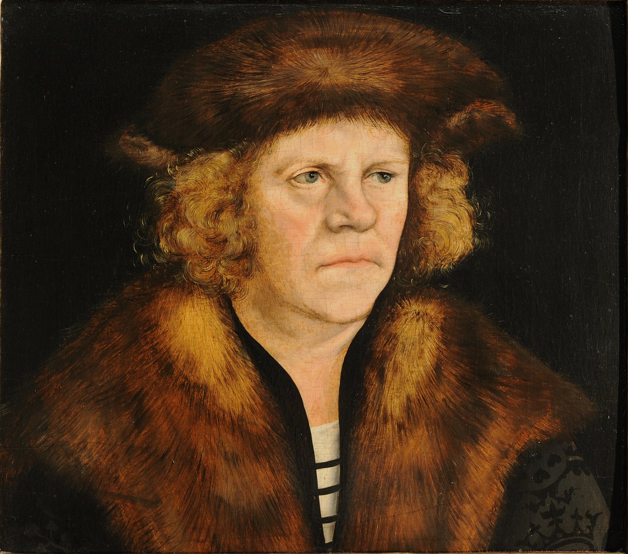 Portræt af en mand i en pelsbaret af Lucas Cranach the Elder