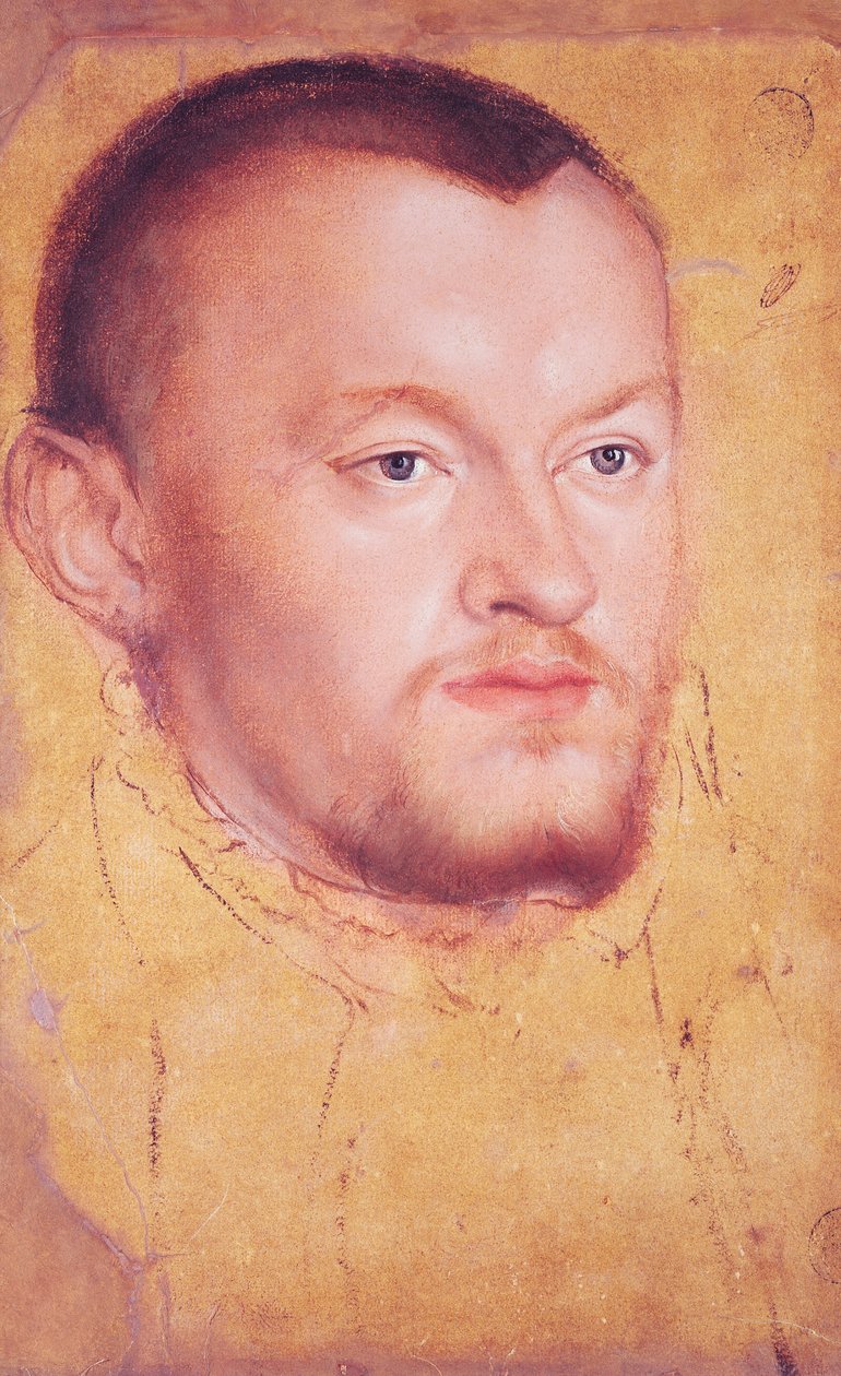 Portræt af Augustus I (1526-86) Kurfyrste af Sachsen (olie, gouache og wc på papir) af Lucas Cranach the Younger