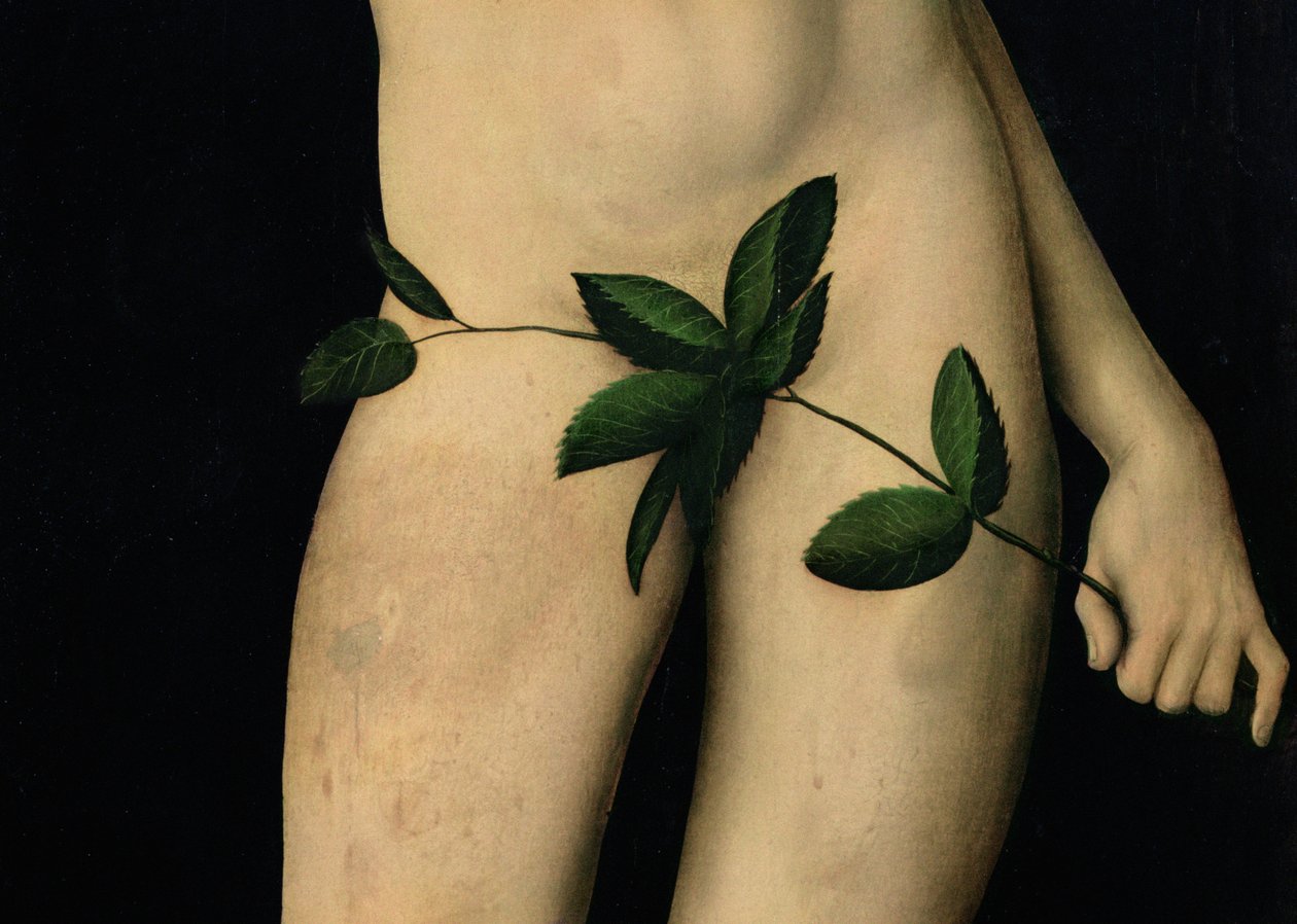 Adam, 1528 olie på panel detalje af 9628 af Lucas Cranach the Elder
