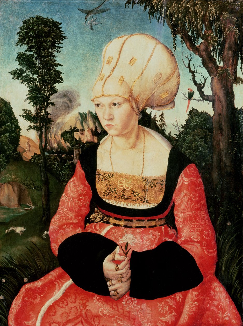 Anna Cuspinian af Lucas Cranach the Elder
