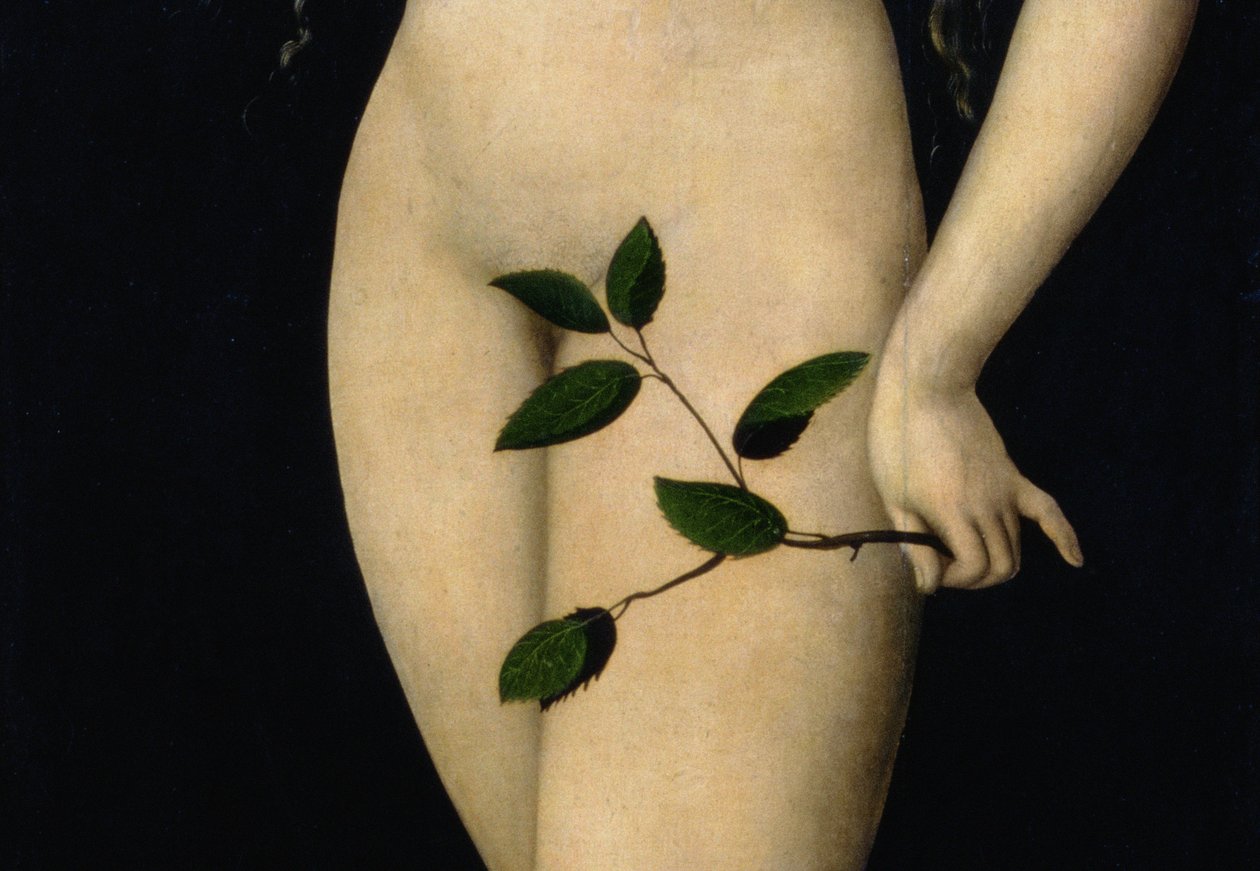 Eva, 1528 (detalje af 9629) af Lucas Cranach the Elder