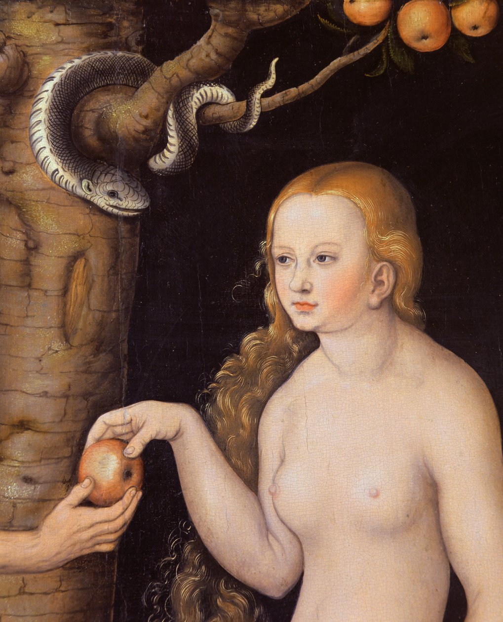 Eva tilbyder Adam æblet i Edens Have og slangen, ca. 1520-25 olie på træ detalje af 407328 af Lucas Cranach the Elder
