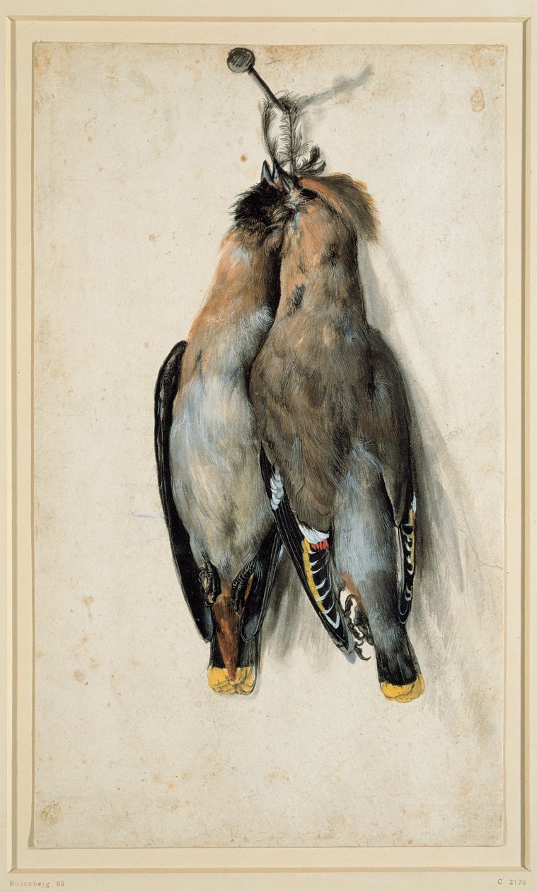 To døde bohemske vokser af Lucas Cranach the Elder