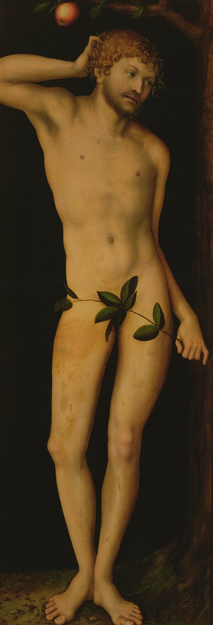 Adam, 1528 af Lucas Cranach the Elder
