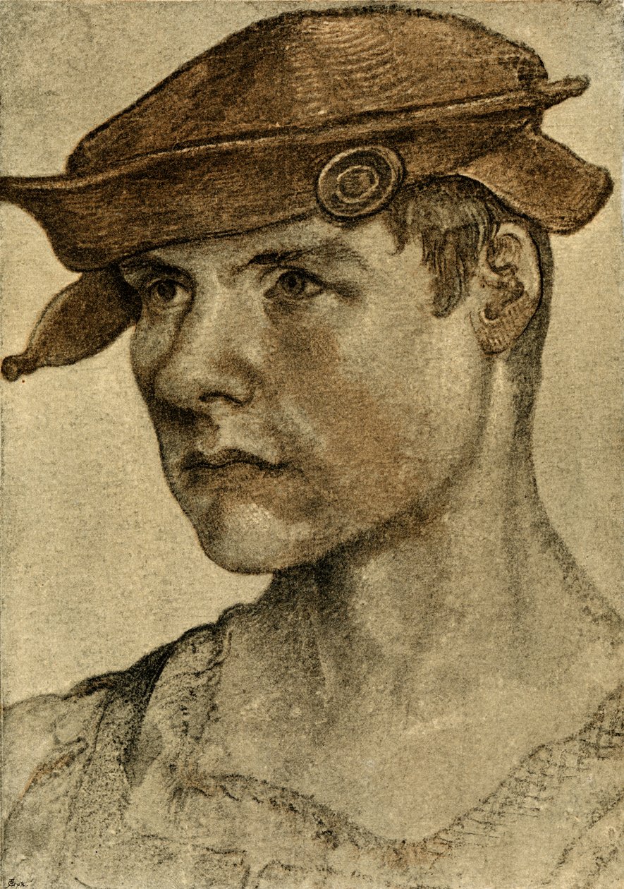 Portræt af en mand af Lucas Cranach the Elder