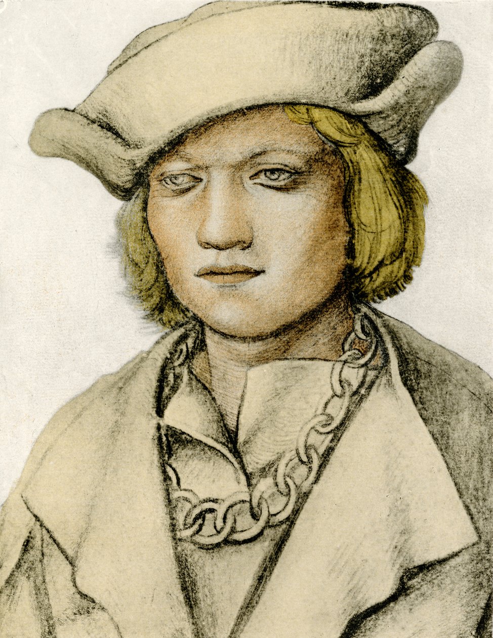 Portræt af en ung mand med hat af Lucas Cranach the Elder