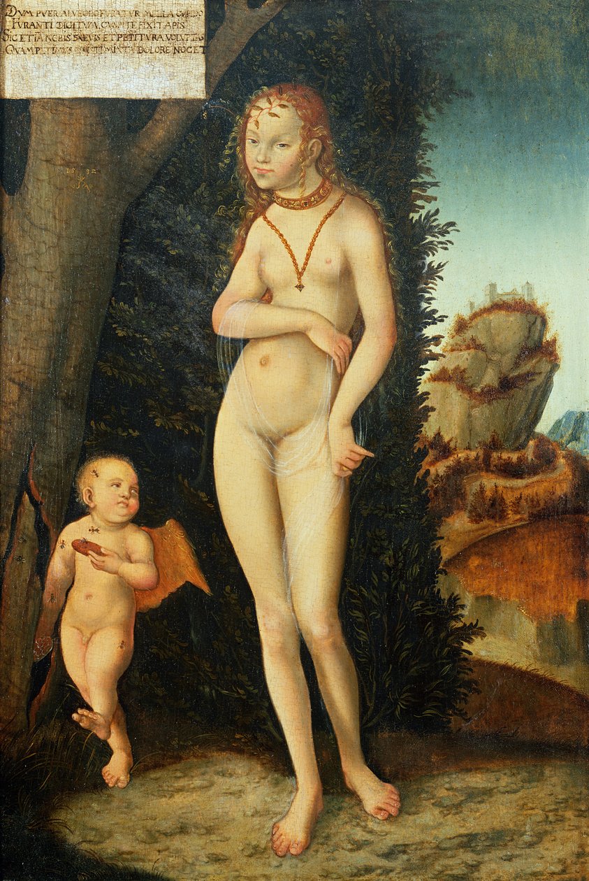 Ukendt billede af Lucas Cranach