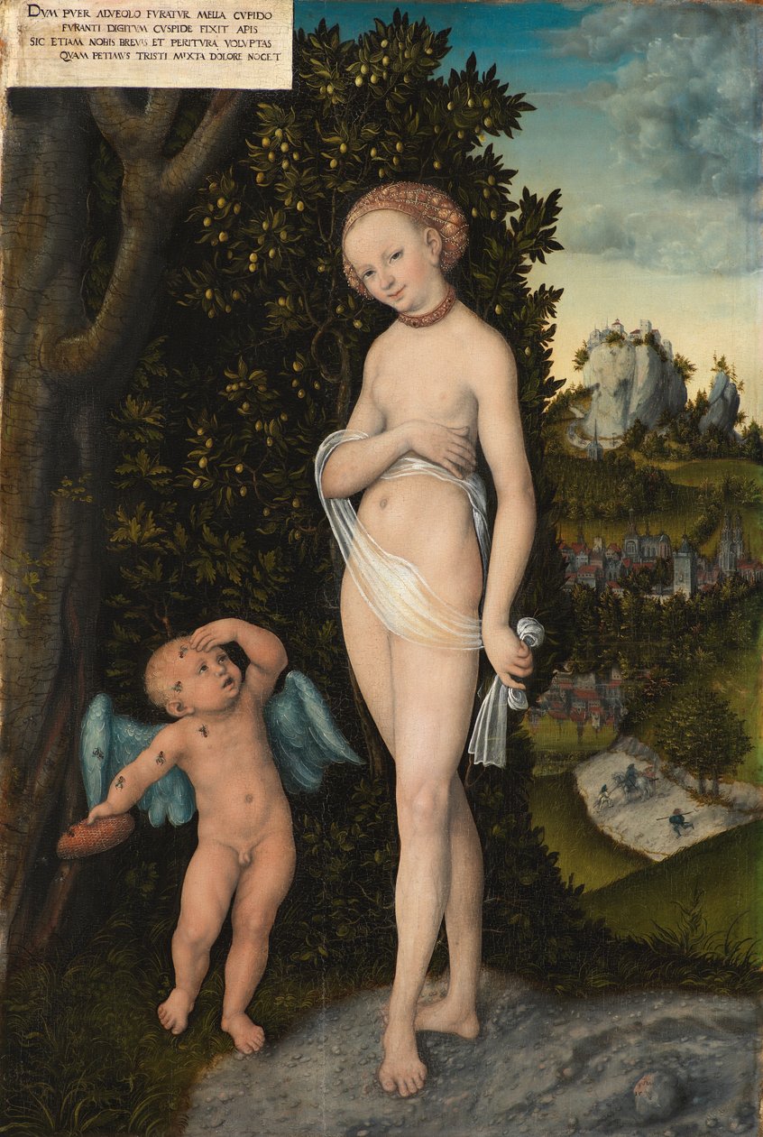 Venus med Amor, der stjæler honning af Lucas Cranach d.Æ.
