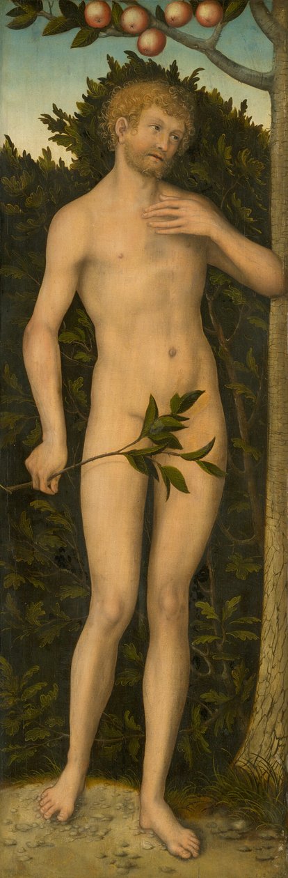 Adam af Lucas Cranach the Elder