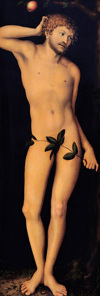 Adam, 1528. af Lucas Cranach the Elder
