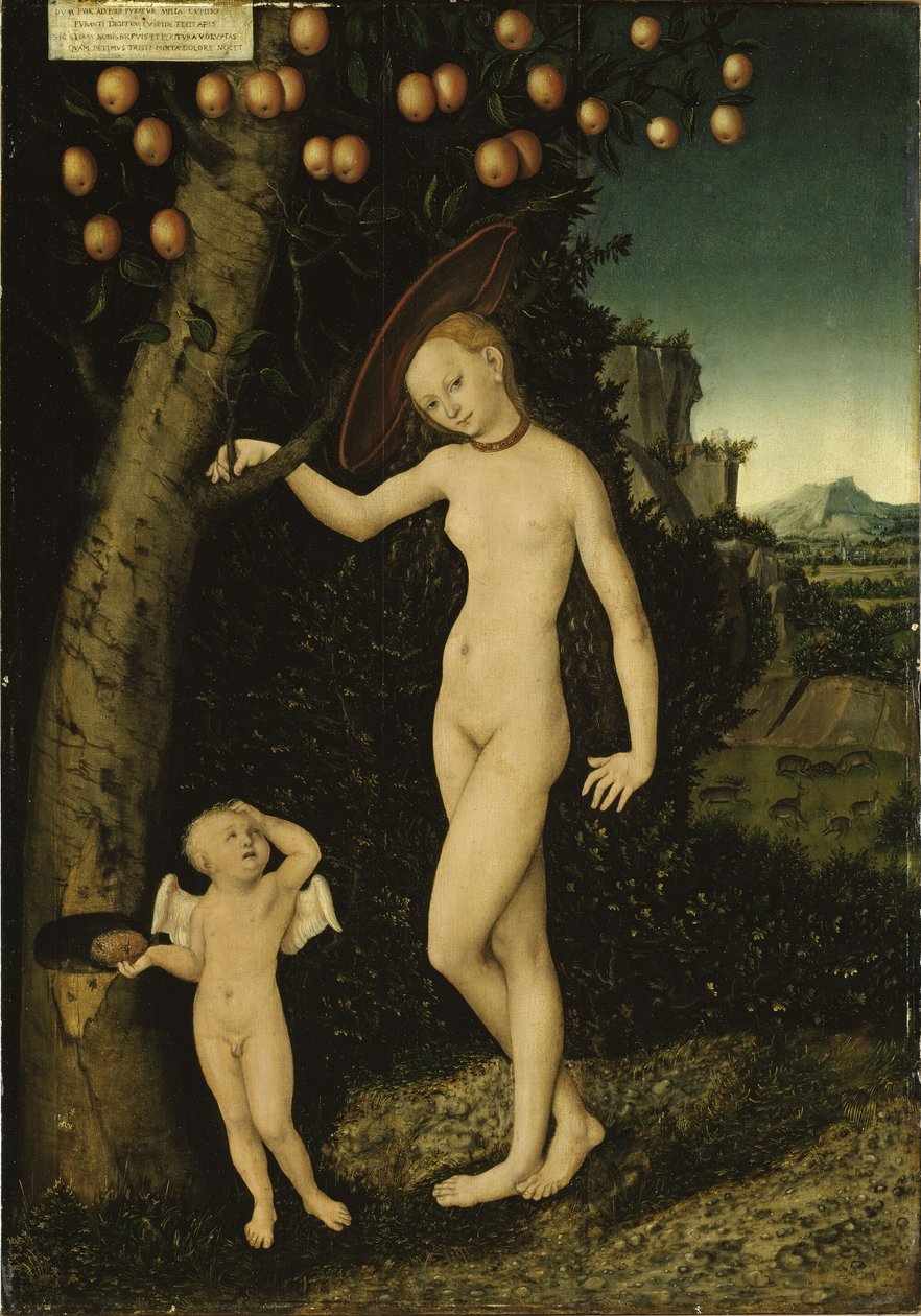 Tysk: Venus mit Amor als Honigdieb Venus og Amor som honningtyv af Lucas Cranach the Elder