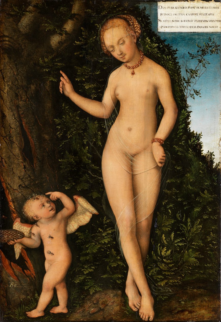 Tysk: Venus mit Amor als Honigdieb Venus with Cupid the Honey Thief (Venus med Amor som honningtyv) af Lucas Cranach the Elder