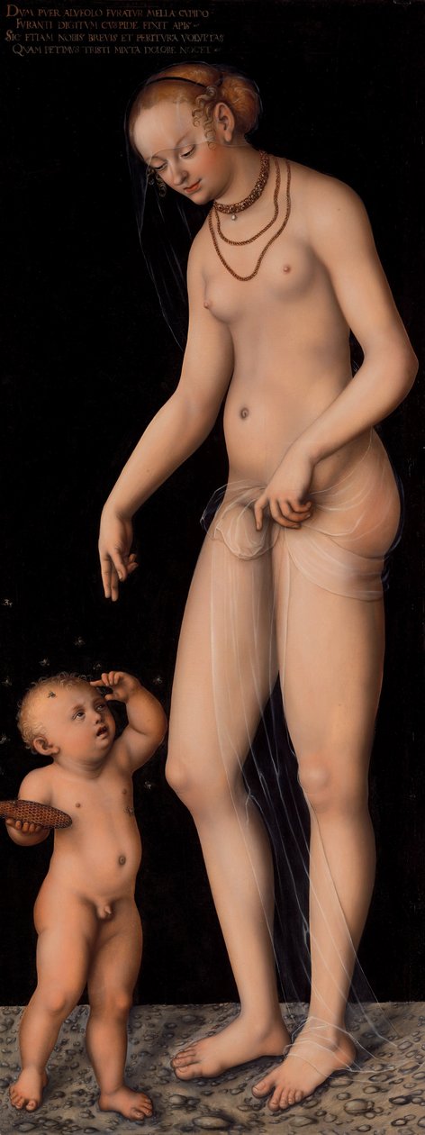 Venus med Amor som honningtyv af Lucas Cranach the Elder