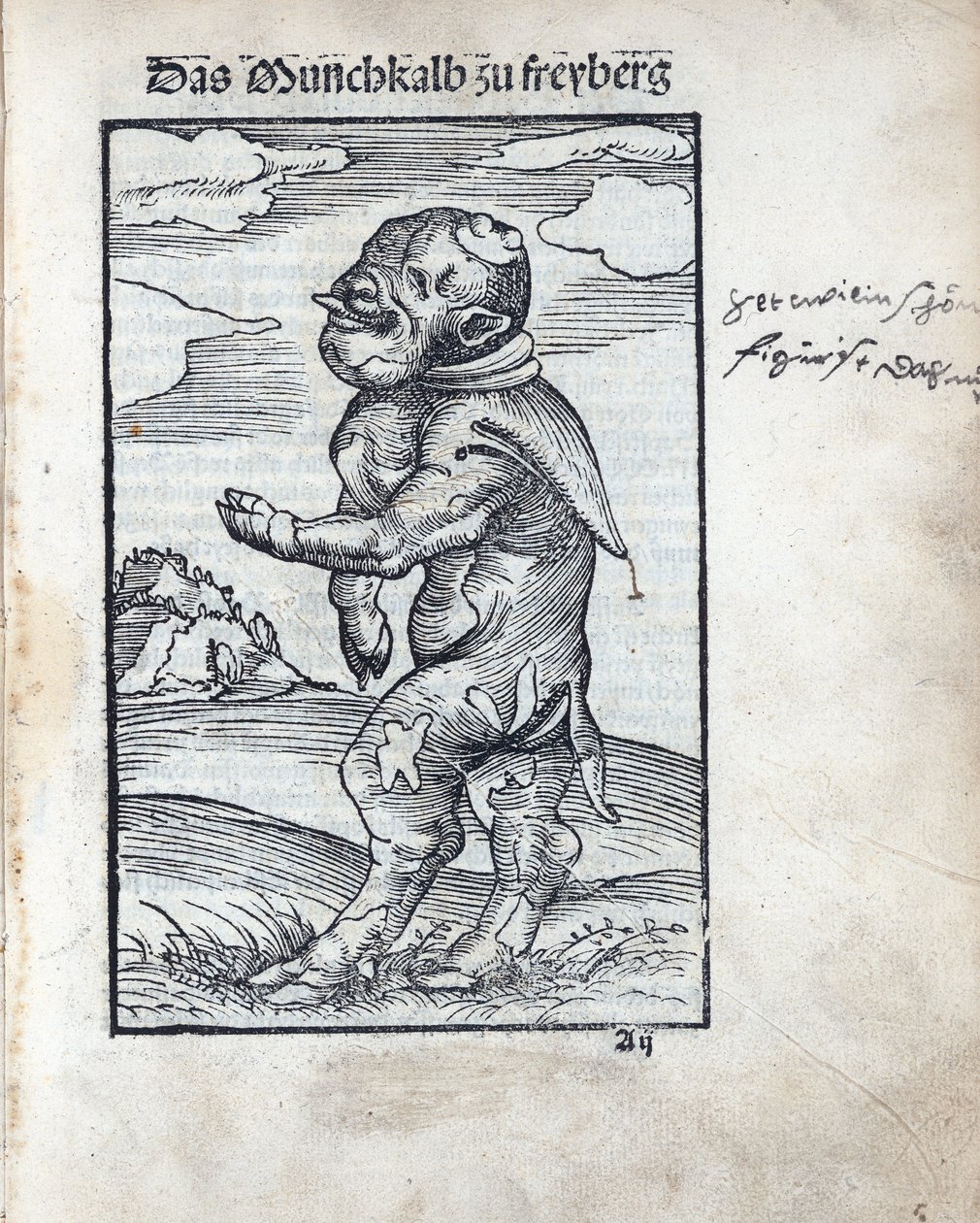Munkekalv af Freiberg (Das Moenchkalb zu Freiberg), af Cranach, Lucas, den ældre (1472-1553). træsnit af Lucas the Elder Cranach