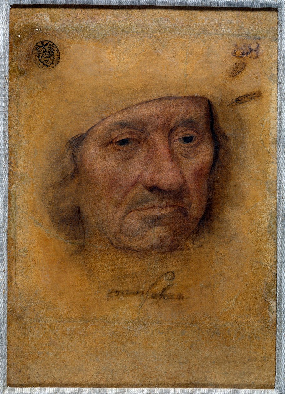 Portræt af doktor Petrus von Clapis Tegning i pastel af Bruyn fra skolen af Lucas Cranach den Gamle (eller den ældre) af Lucas the Elder Cranach