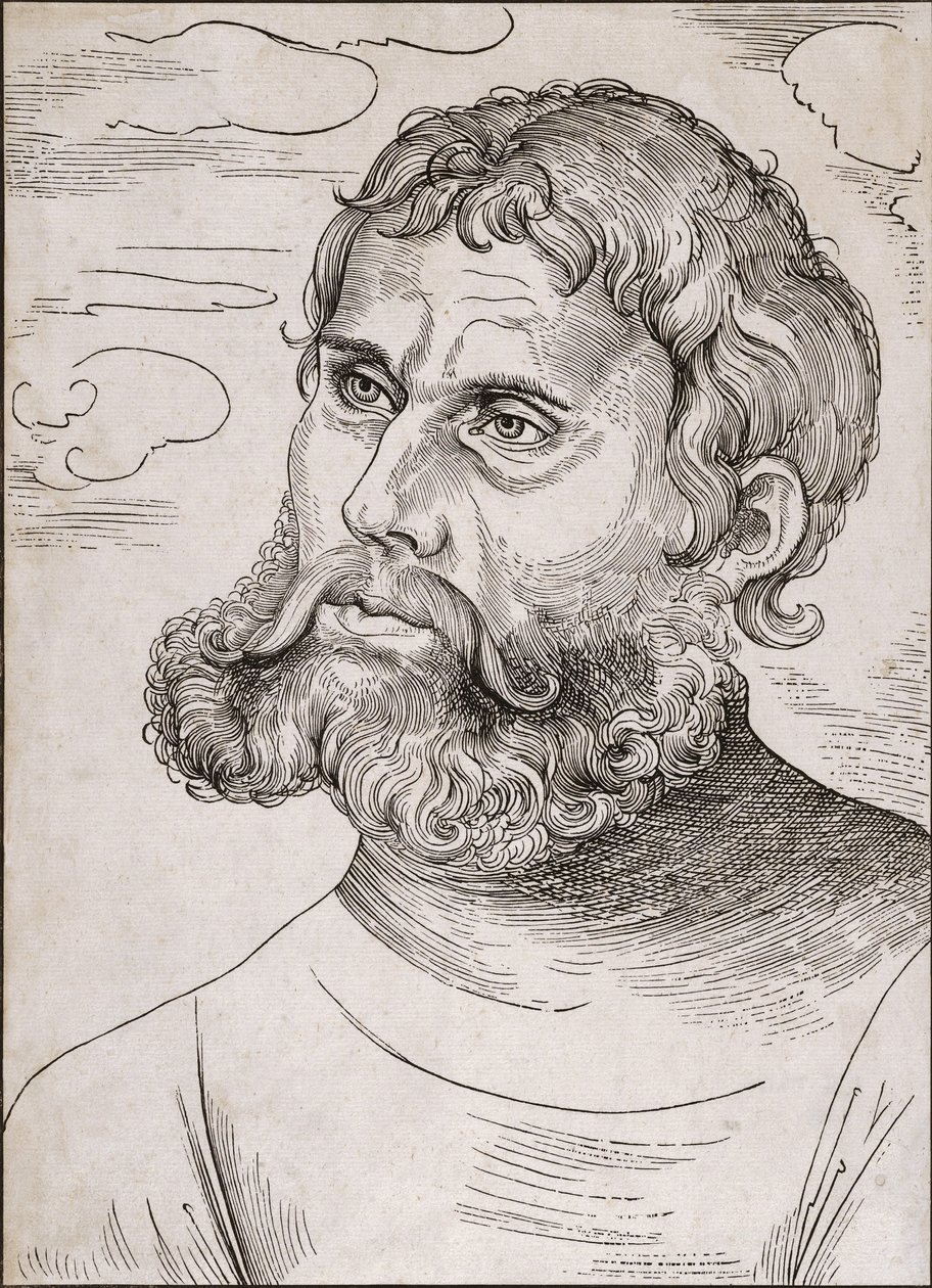 Portræt af Martin Luther som 