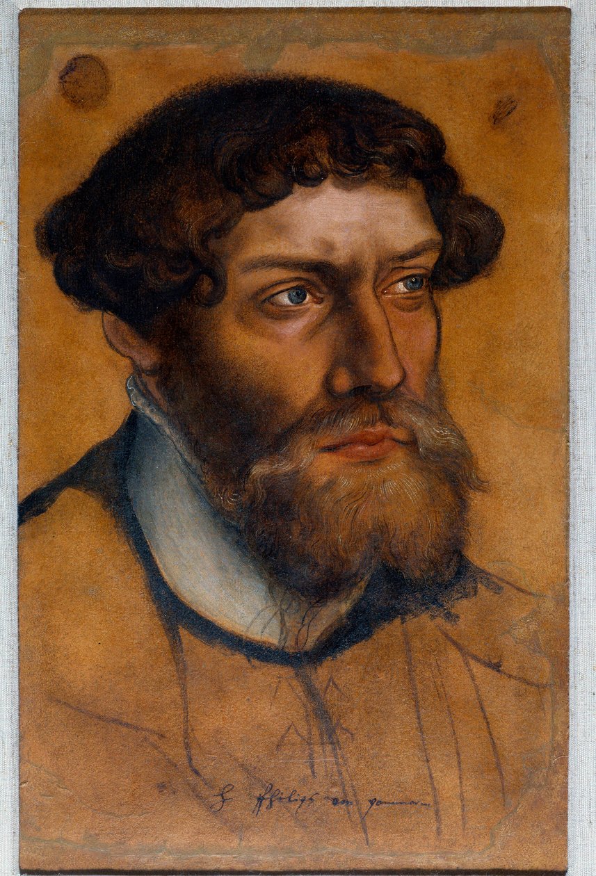 Portræt af Philip I af Pommern, Reformens Prins Tegning pastel af Lucas Cranach den Gamle (eller den Ældre) af Lucas the Elder Cranach