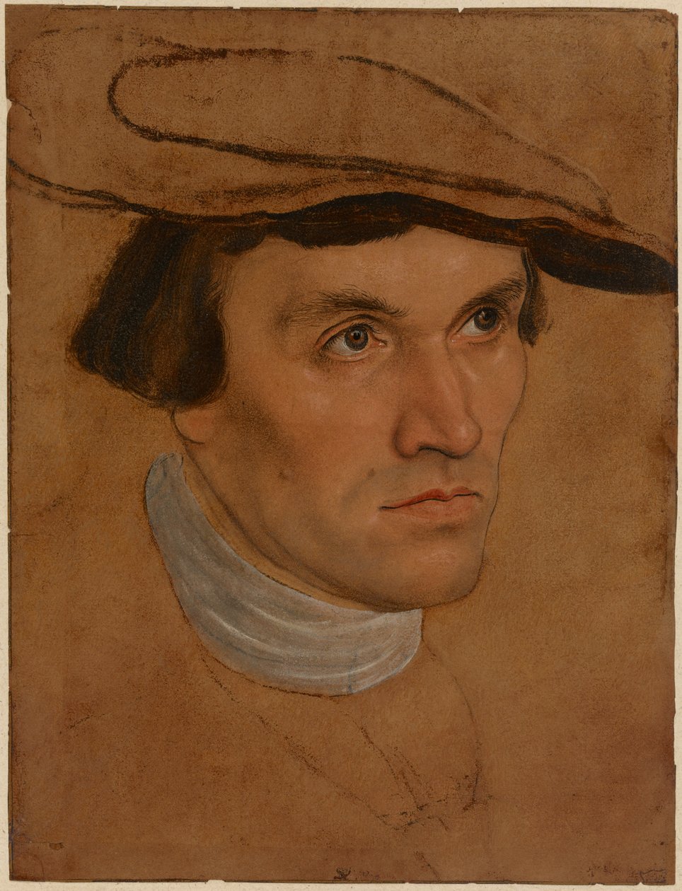 Portræt af en mand, ca. 1530 (olie på papir) af Lucas the Elder Cranach