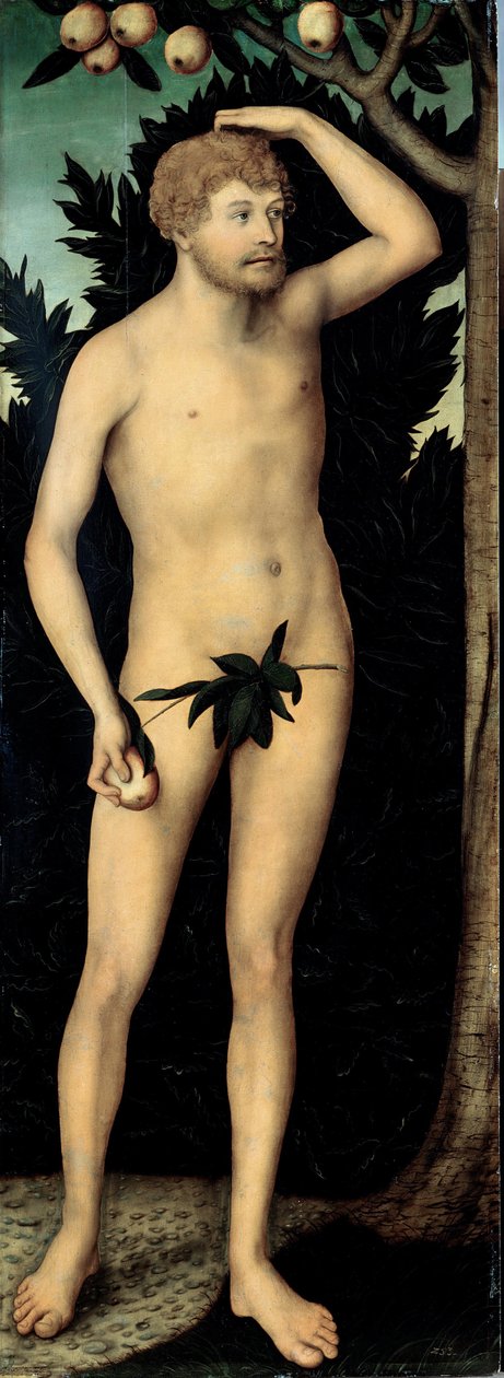 ""Adam"" Maleri af Lucas Cranach II den yngre (1515-1586) Efter 1537 Dim 171 x 63 cm Tyskland Dresden State Art Collections af Lucas the Younger Cranach