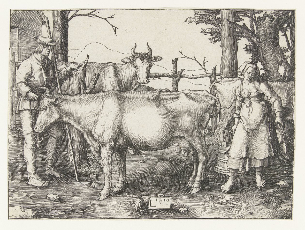 Mælkepigen af Lucas van Leyden