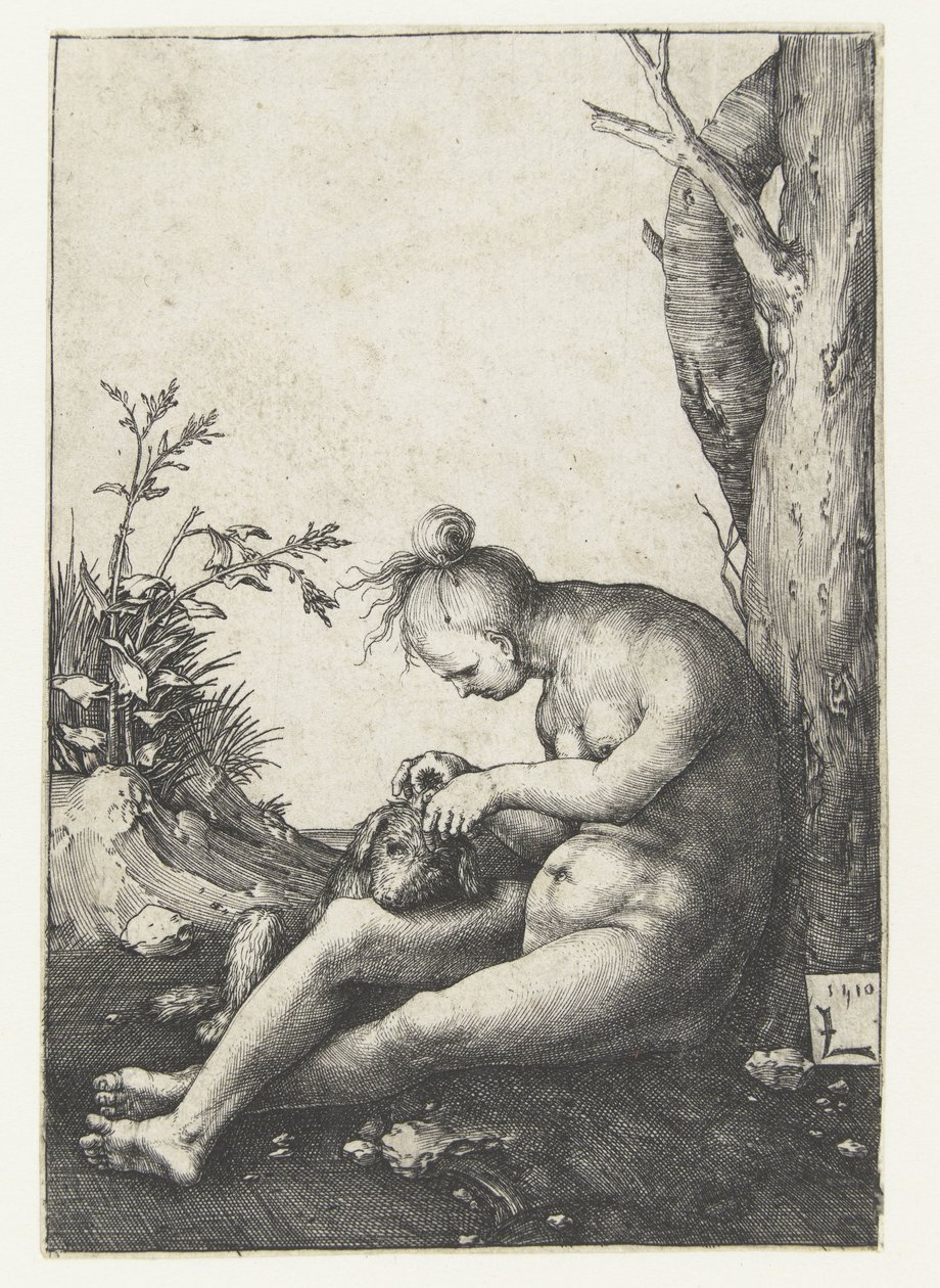 Nøgen kvinde med hund af Lucas van Leyden