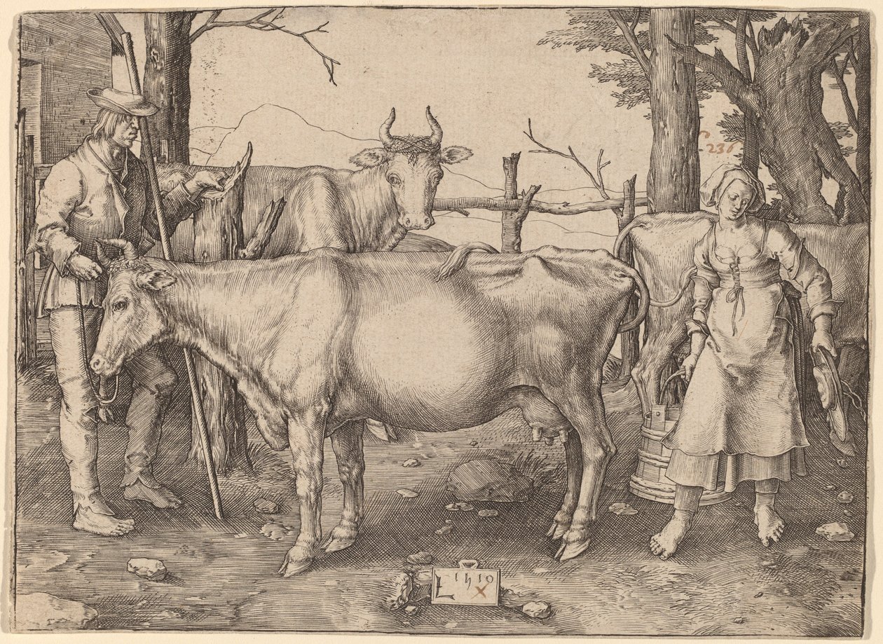Mælkepigen af Lucas van Leyden