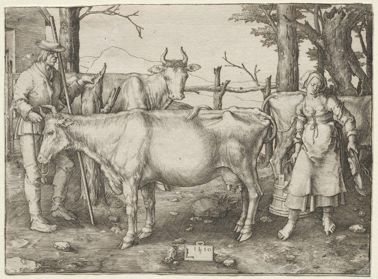 Mælkepigen af Lucas van Leyden