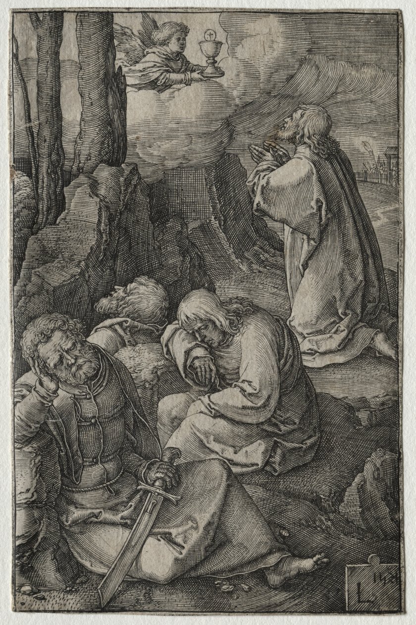 Lidenskaben: Kvalen i haven af Lucas van Leyden