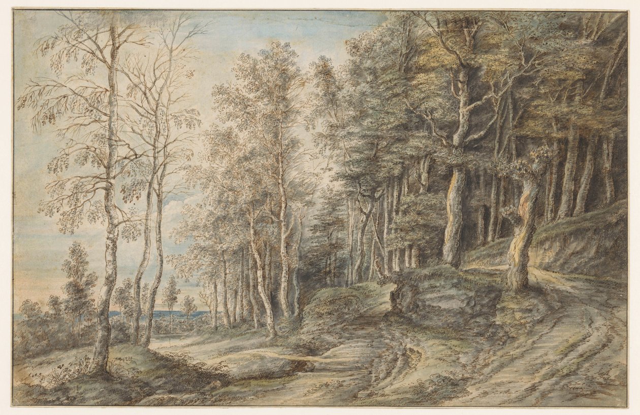 skovlandskab af Lucas van Uden