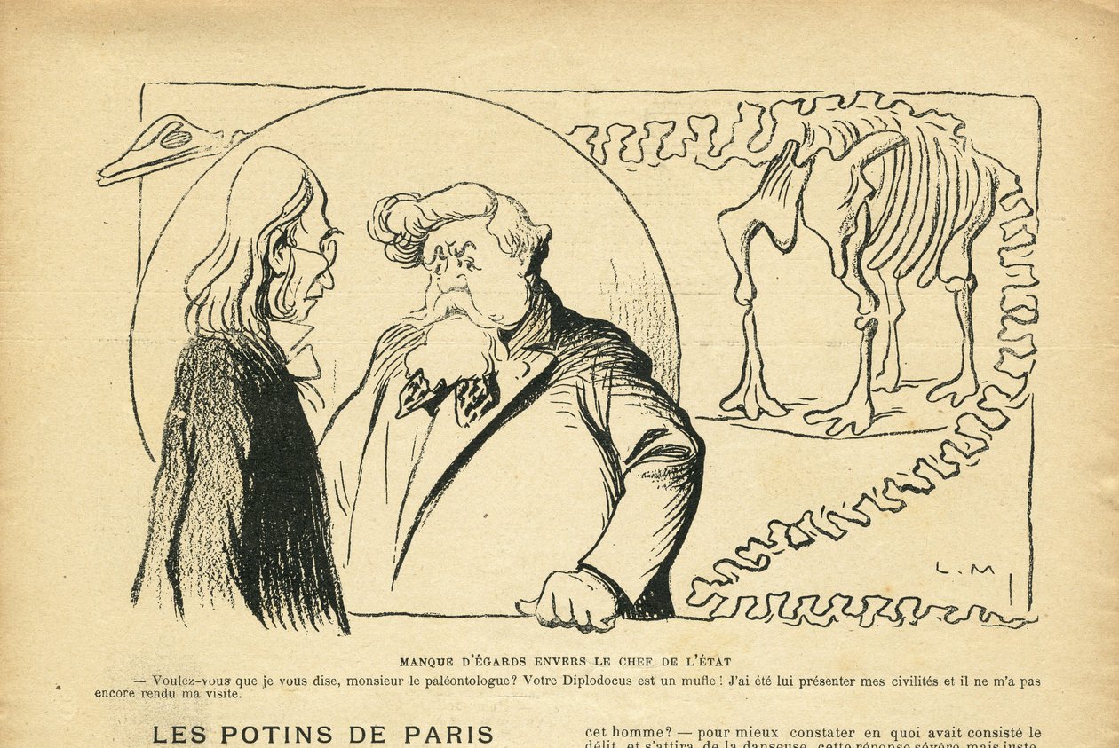 Illustration i Le Rire, 27/06/08 - Tilsidesættelse af statsoverhovedet - Republikkens præsident, Dinosaur, Palæontologi - Fallieres Armand (1841-1931), Dinosaur, Diplodocus (gravering) af Lucien Metivet