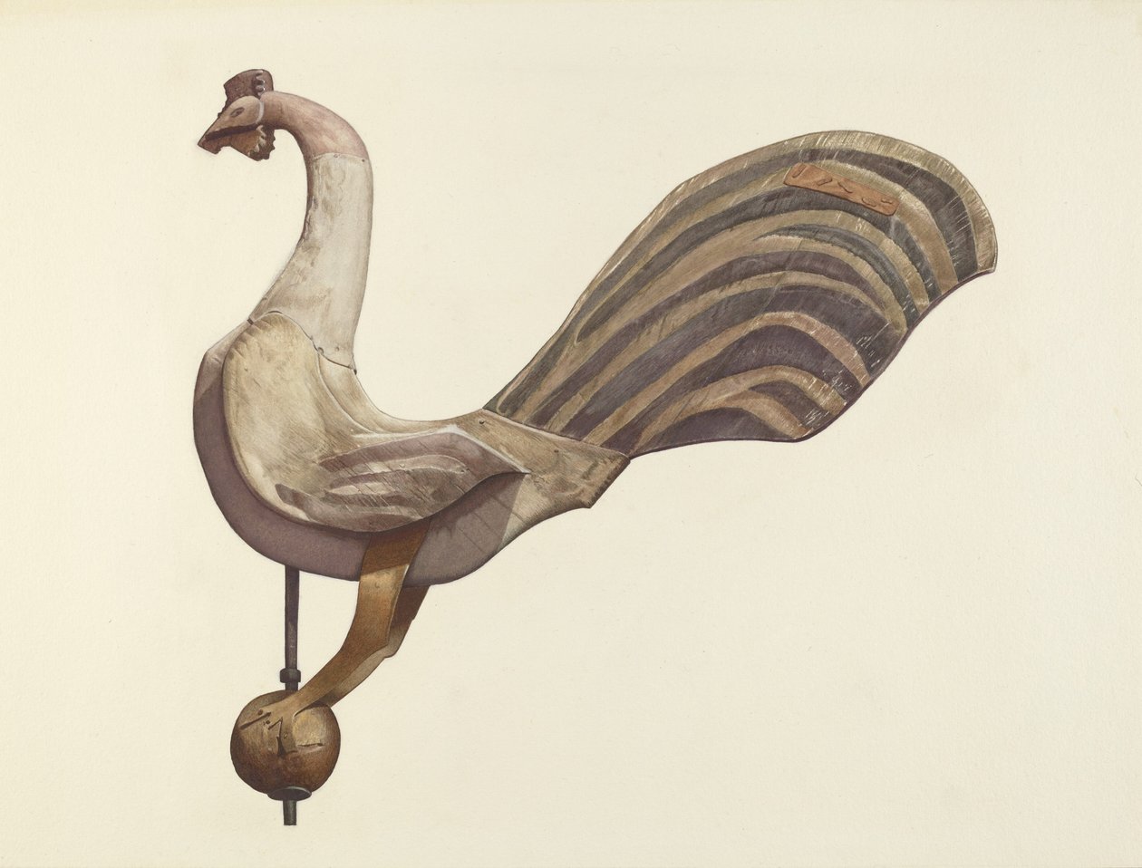 Hane vejrhane af Lucille Chabot