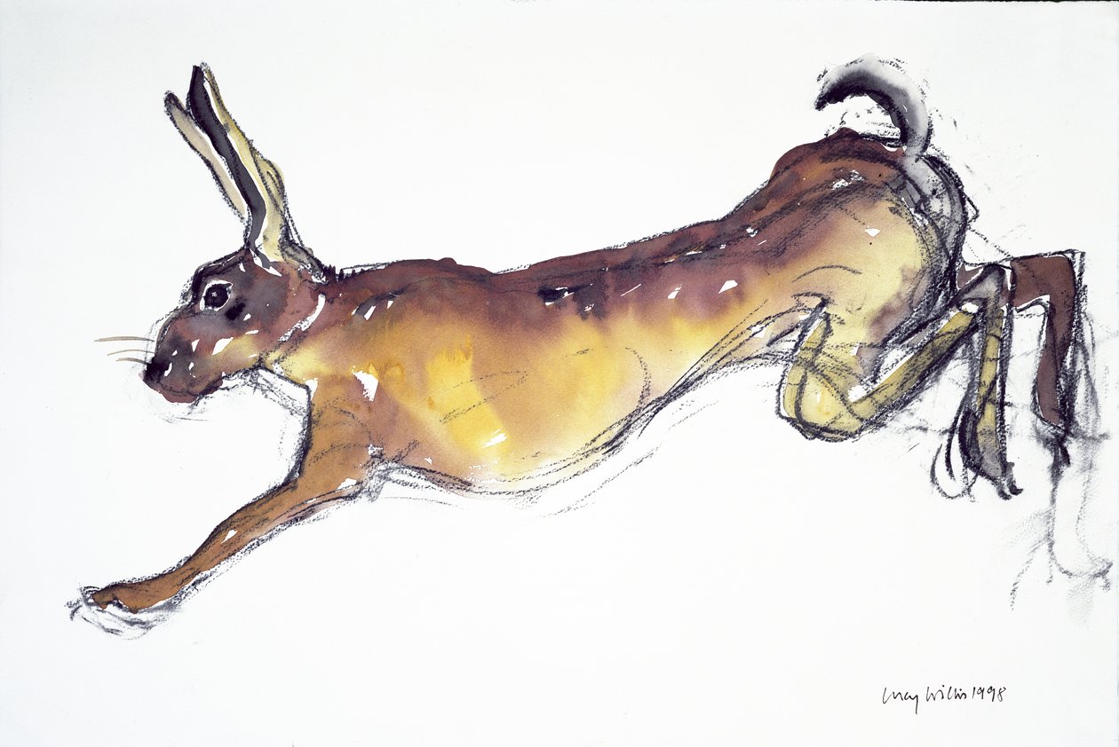 Jumping Hare (wc & kul på papir) af Lucy Willis
