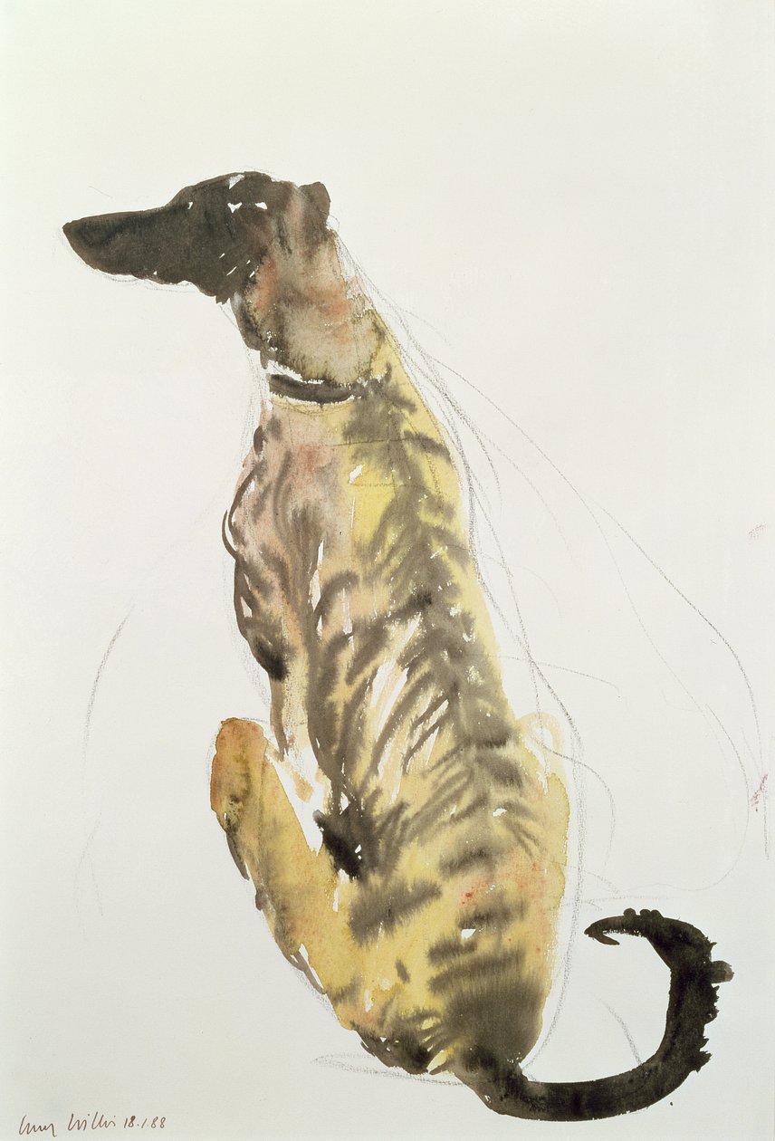 Lurcher Sitting, 1988 (kul og wc på papir) af Lucy Willis