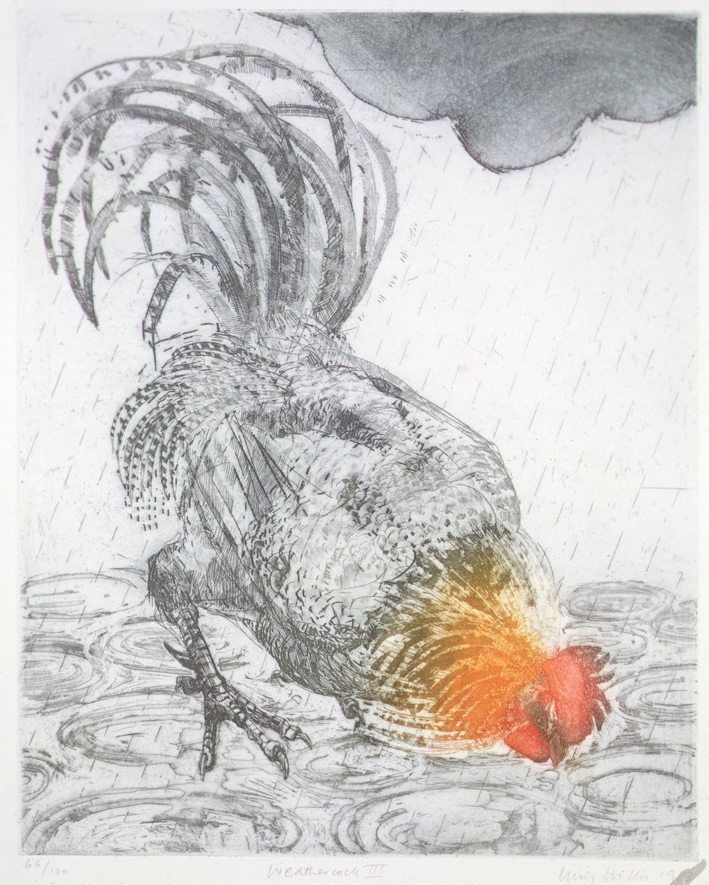 Weathercock II, 1983 (radering på papir) af Lucy Willis