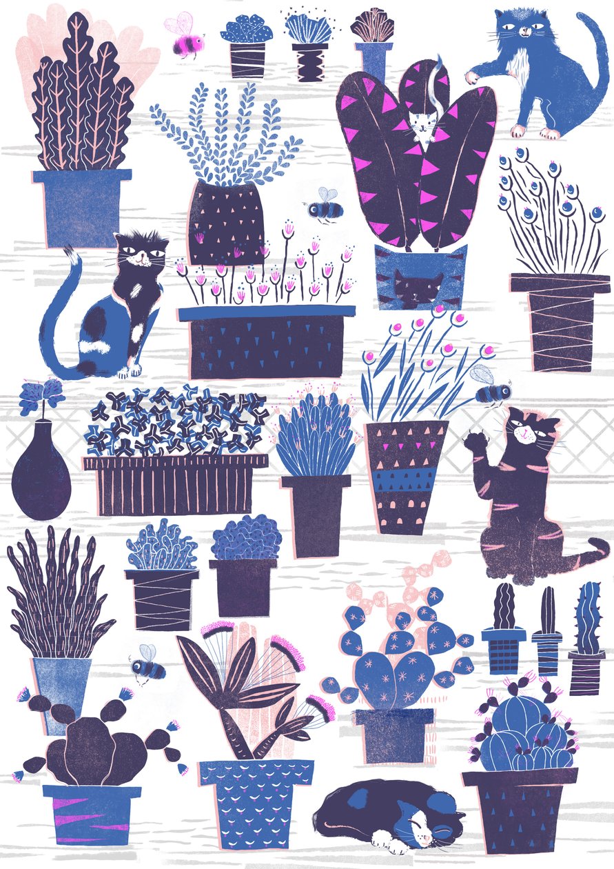 Cat Garden, 2015 (digital) af Lucy Banaji
