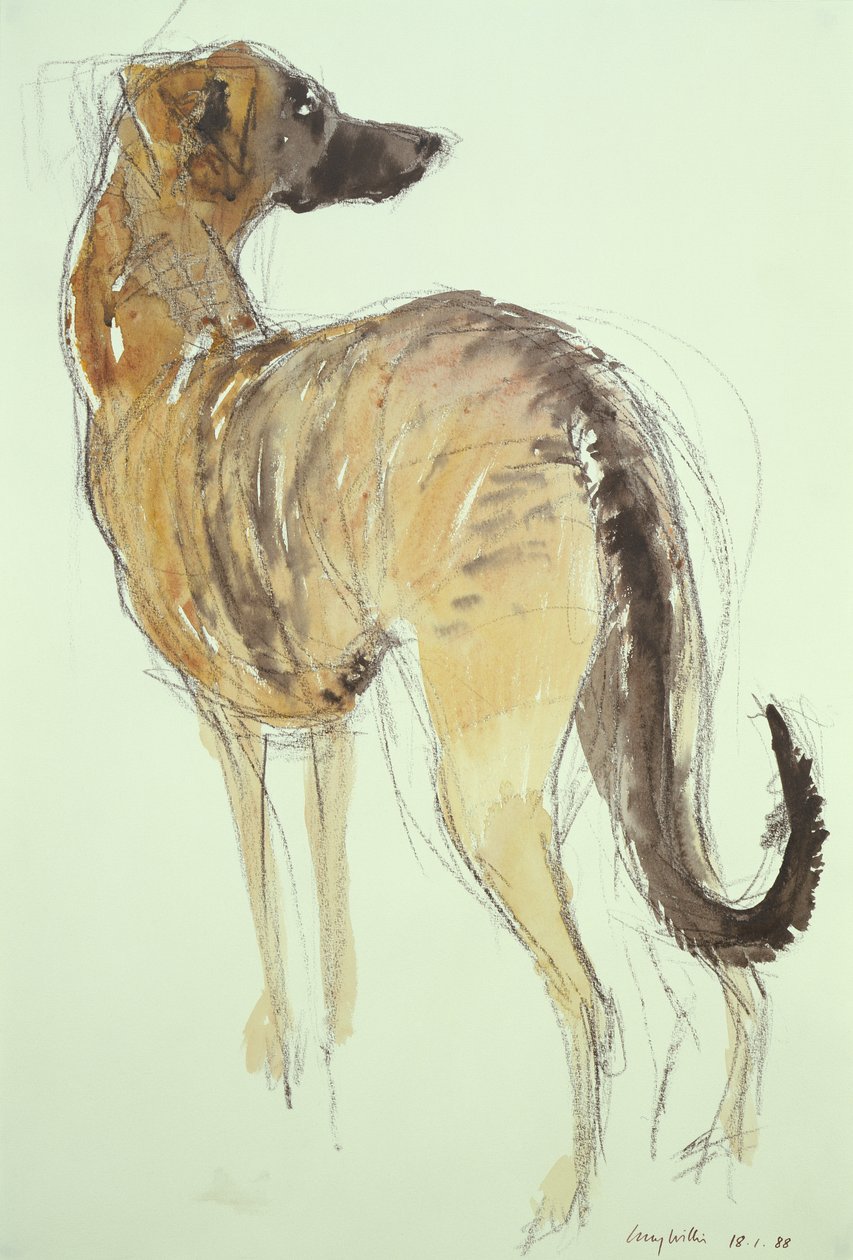 Lurcher stående af Lucy Willis