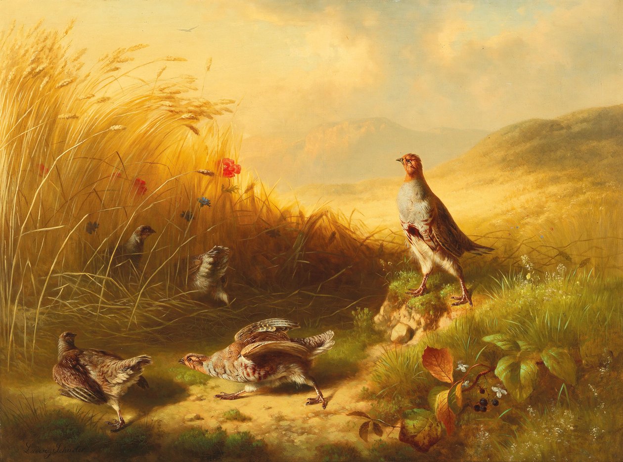 Agerhøne med Fledglings på Bjergene af Ludwig Schuster