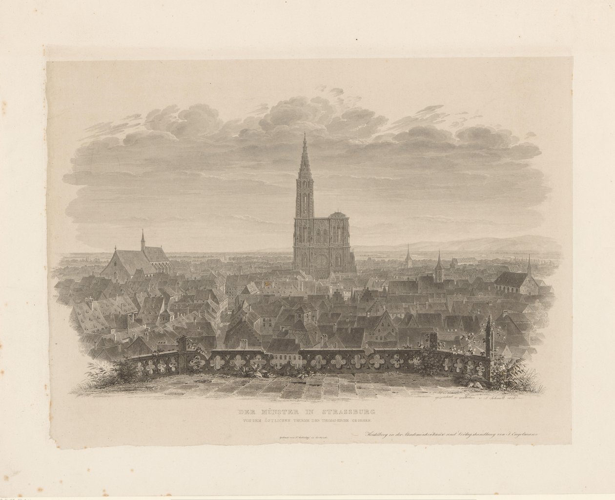 Portræt af katedralen i Straatsburg Ministeren i Strasbourg set fra Thomas-kirkens østlige tårn (titel på objekt) af Ludwig Friedrich Schnell