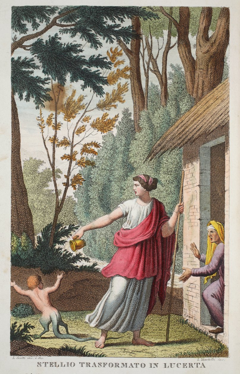 A Boy into a Lizard eller Ntellio Transformato in Lucerta, Bog V, illustration fra Ovids Metamorphoses, Firenze, 1832 (håndfarvet gravering) af Luigi Ademollo