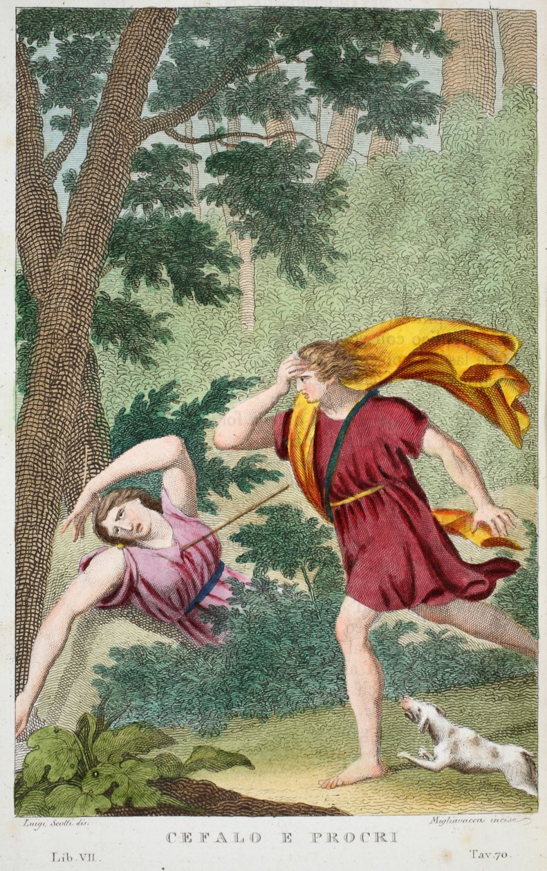 Cephalus og Procris eller Cefalo e Procri, Bog VII, illustration fra Ovids Metamorphoses, Firenze, 1832 (håndkoloreret gravering) af Luigi Ademollo