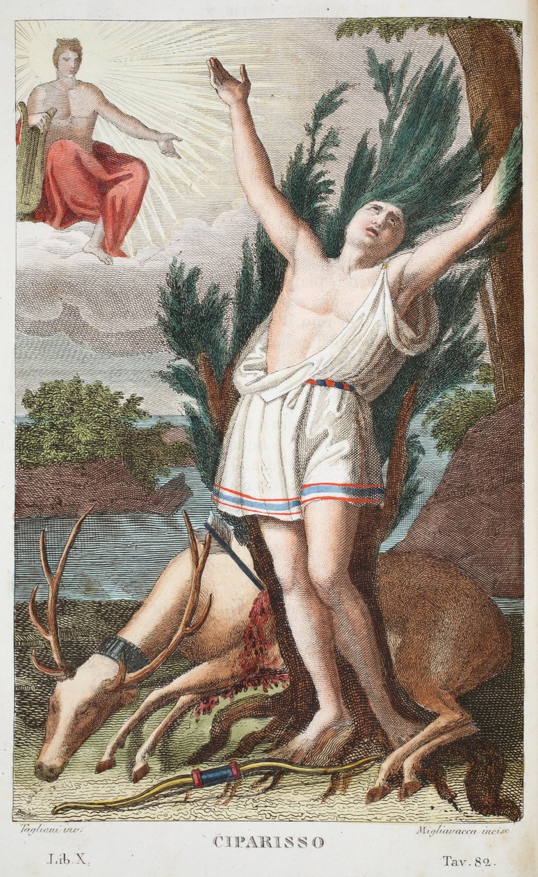 Cyparissus into a Tree eller Ciparisso, Bog X, illustration fra Ovids Metamorphoses, Firenze, 1832 (håndfarvet gravering) af Luigi Ademollo