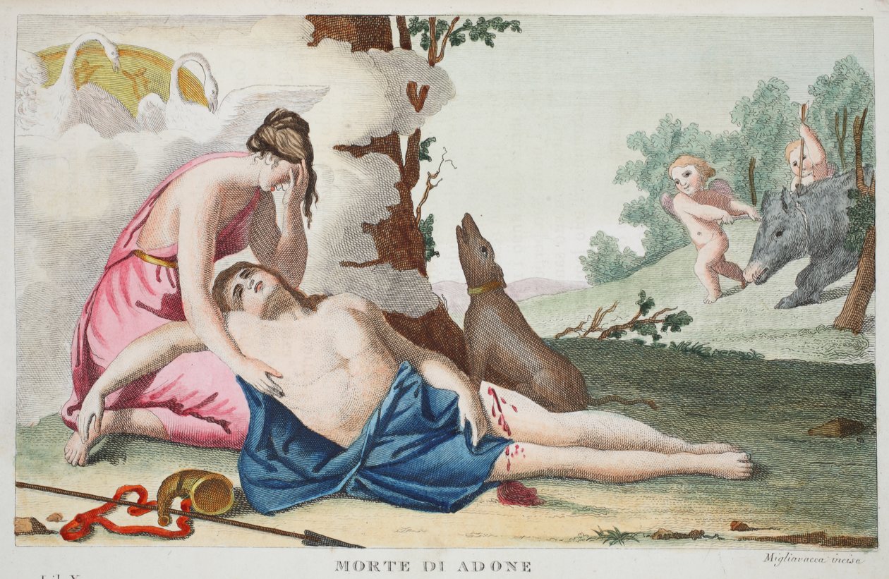 Adonis eller Morte di Adones død, Bog X, illustration fra Ovids Metamorphoses, Firenze, 1832 (håndkoloreret gravering) af Luigi Ademollo