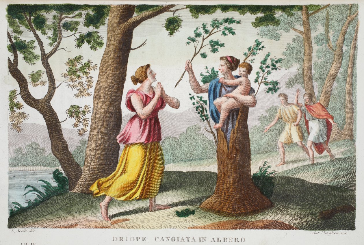 Dryope i et træ eller Driope cangiata in albero, Bog IX, illustration fra Ovids Metamorfoser, Firenze, 1832 (håndkoloreret stik) af Luigi Ademollo
