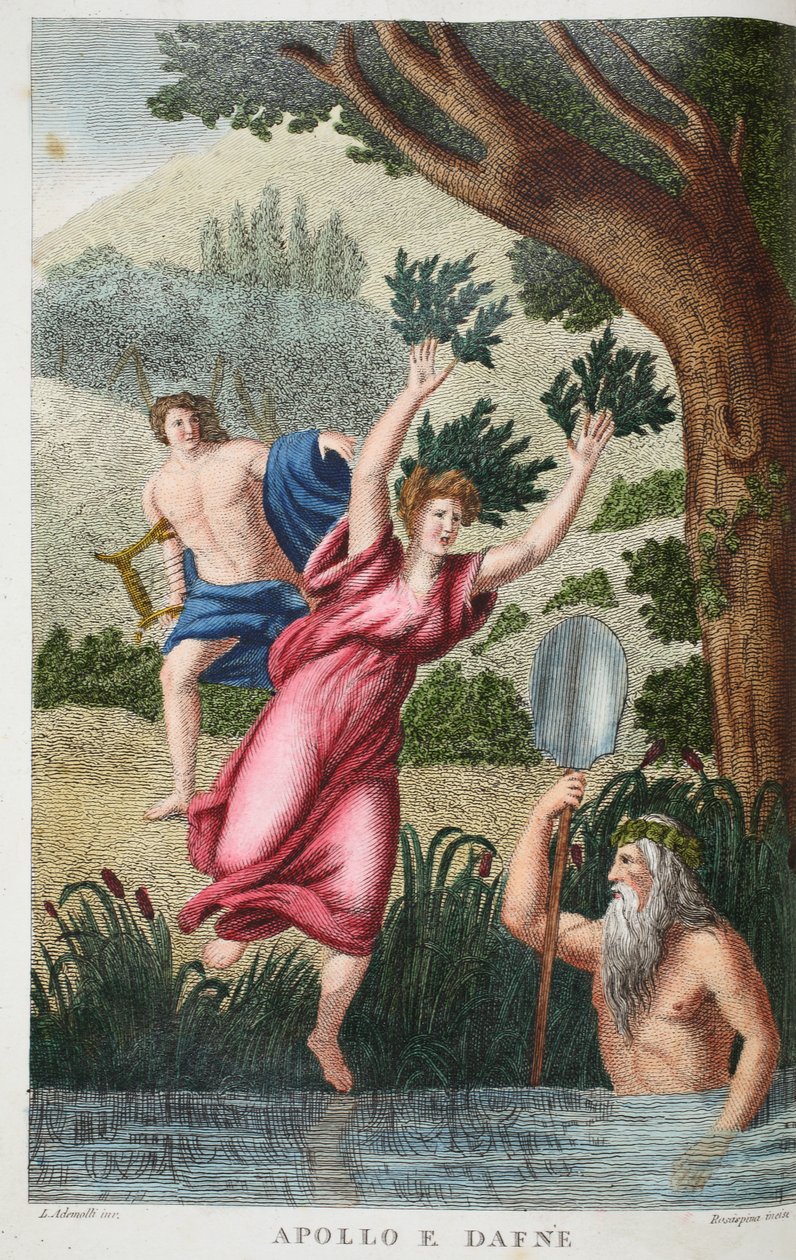 Phoebus og Daphne eller Apollo e Dafne, illustration fra Ovids Metamorfoser, Firenze, 1832 (håndkoloreret stik) af Luigi Ademollo