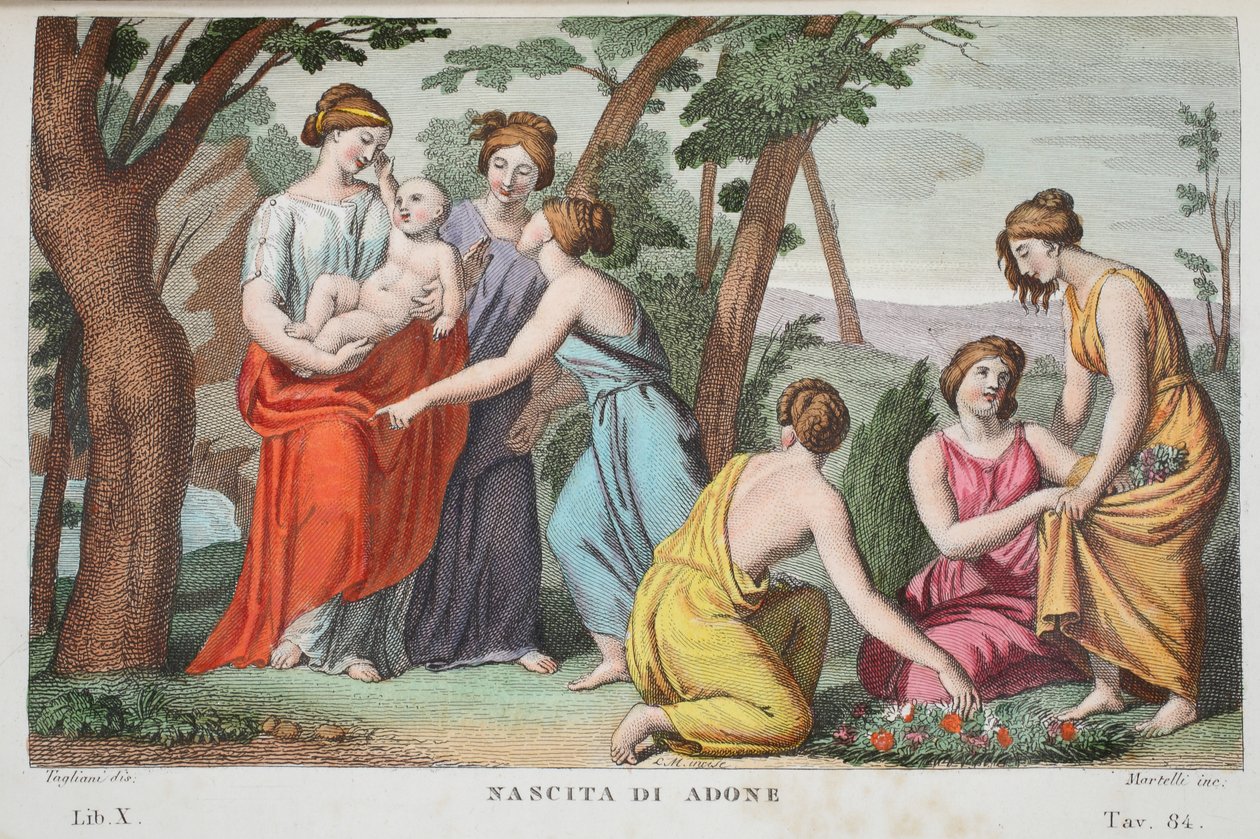 Adonis