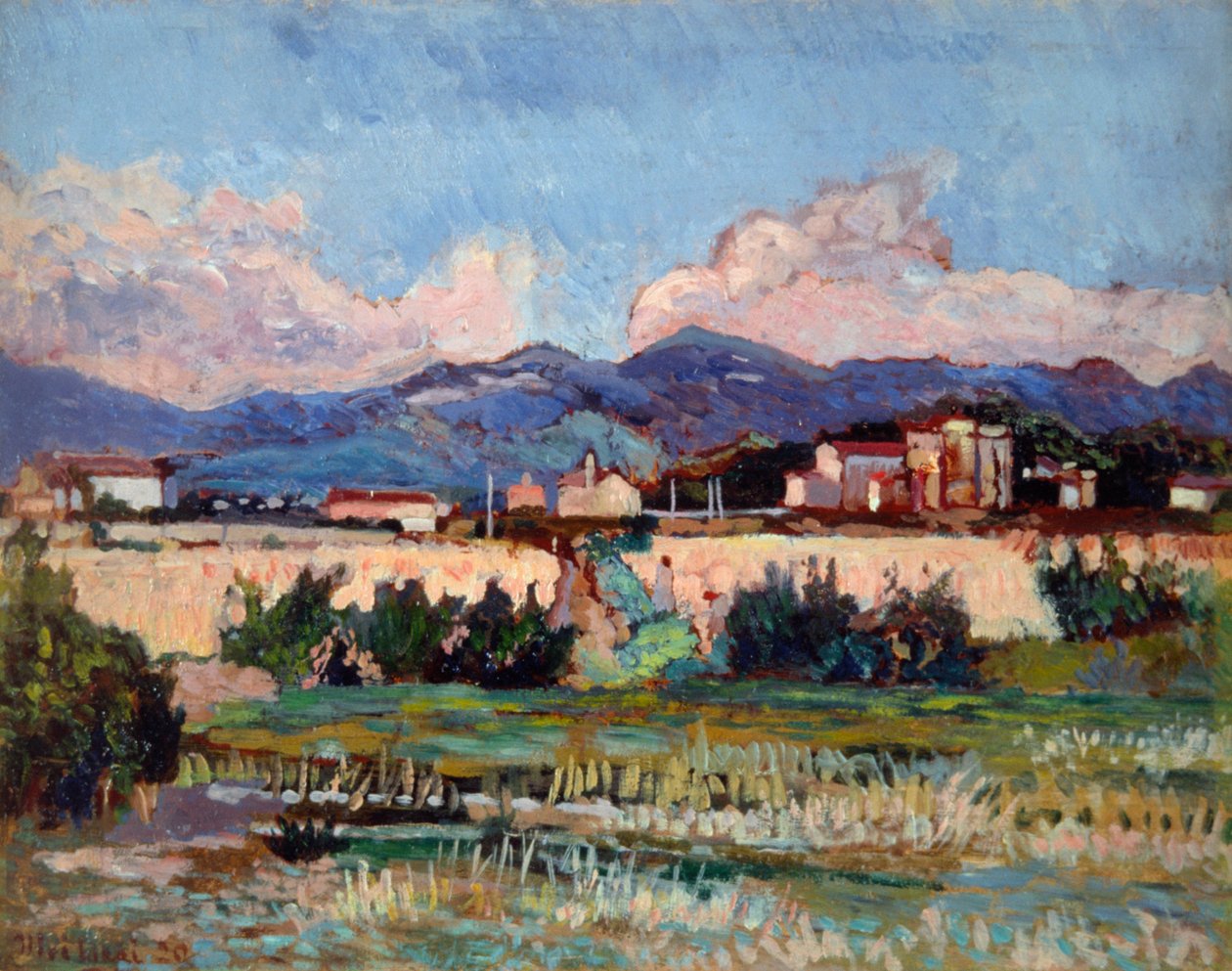 Huse og haver i Ardenza, af Ulvi Liegi (1858-1939), olie på bord, 27x34 cm af Luigi Levi