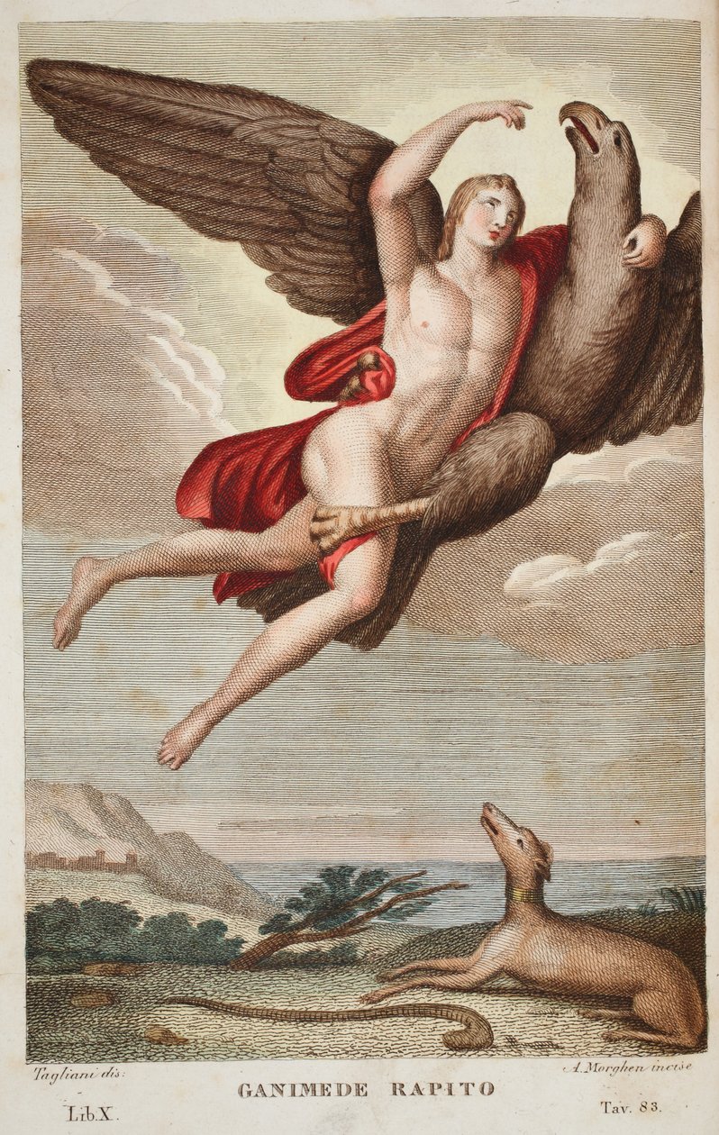 Ganymedes båret ind i himlen eller Ganimede Rapito, Bog X, illustration fra Ovids Metamorphoses, Firenze, 1832 (håndkoloreret gravering) af Luigi Ademollo
